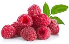 100% Pure Raspberry Ketone Extract